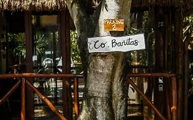 Eco Banitas Tulum