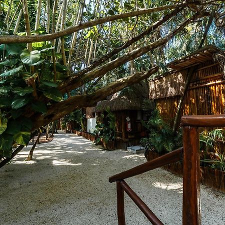 Eco Banitas Tulum Hotel Exterior photo