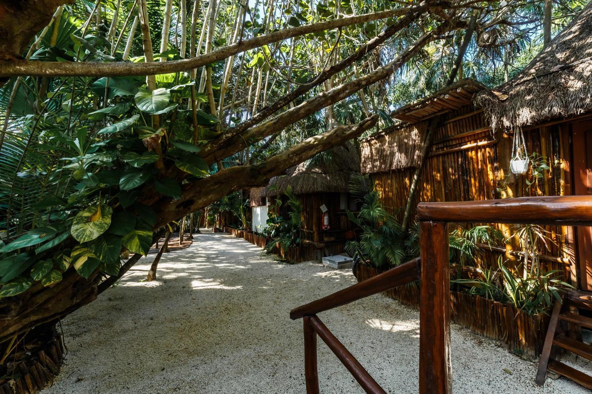 Eco Banitas Tulum Hotel Exterior photo