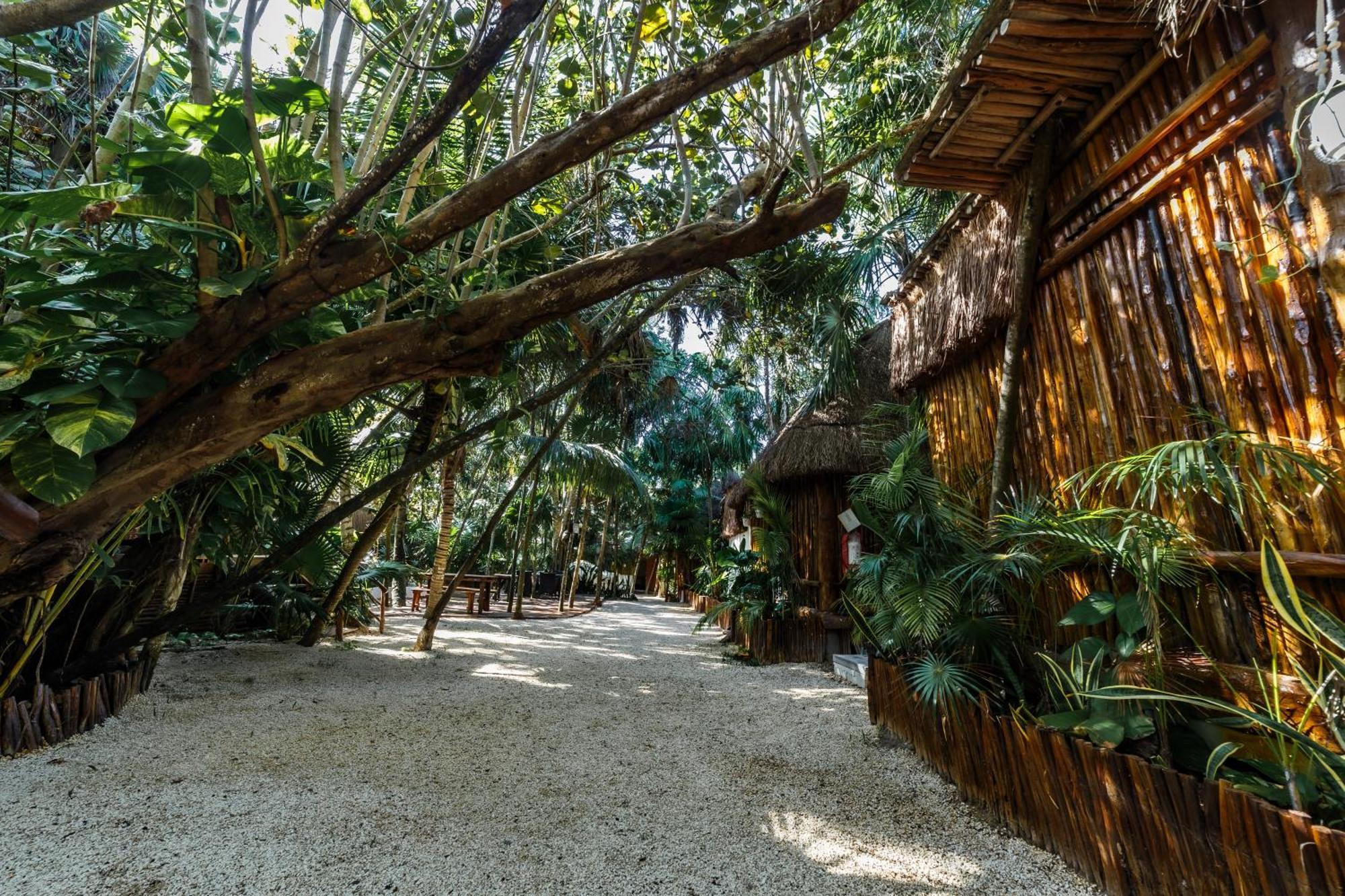 Eco Banitas Tulum Hotel Exterior photo